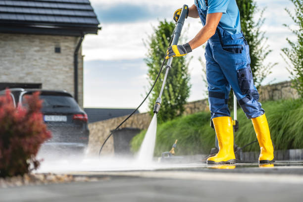 Best Pre-Holiday Cleaning  in Hebbronville, TX